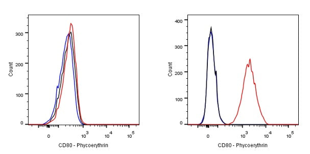 PE Rabbit Anti-Human CD80 Antibody (S-288-177)