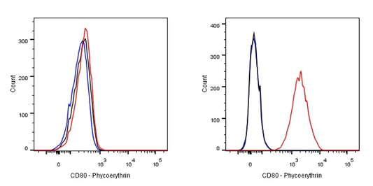 PE Rabbit Anti-Human CD80 Antibody (S-288-177)