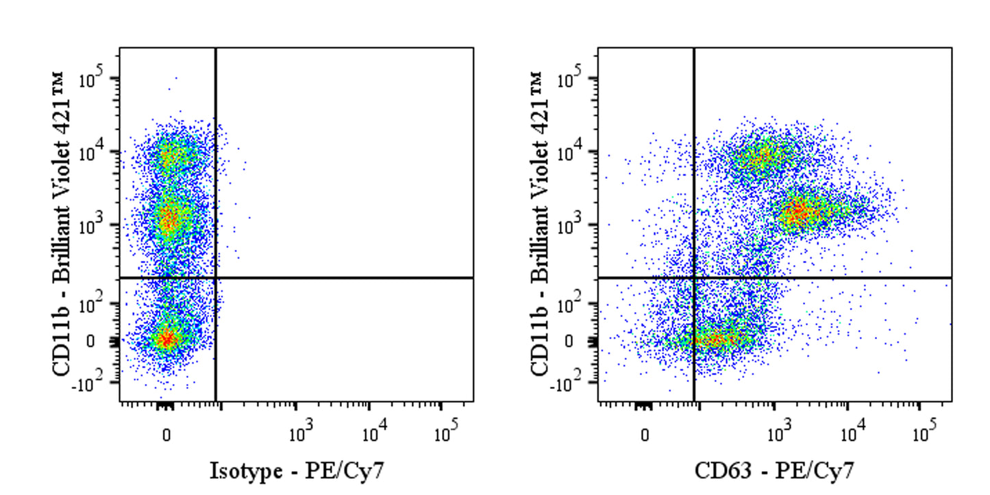 PE-Cy7 Rat Anti-Mouse CD63 Antibody (S-R667)