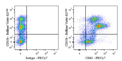 PE-Cy7 Rat Anti-Mouse CD63 Antibody (S-R667)