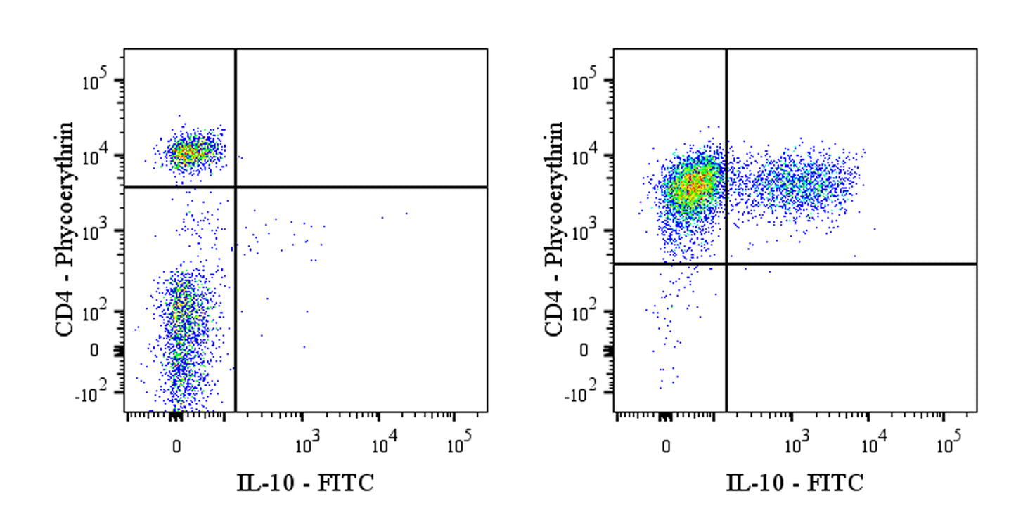 FITC Rat Anti-Human IL-10 Antibody (S-3081)