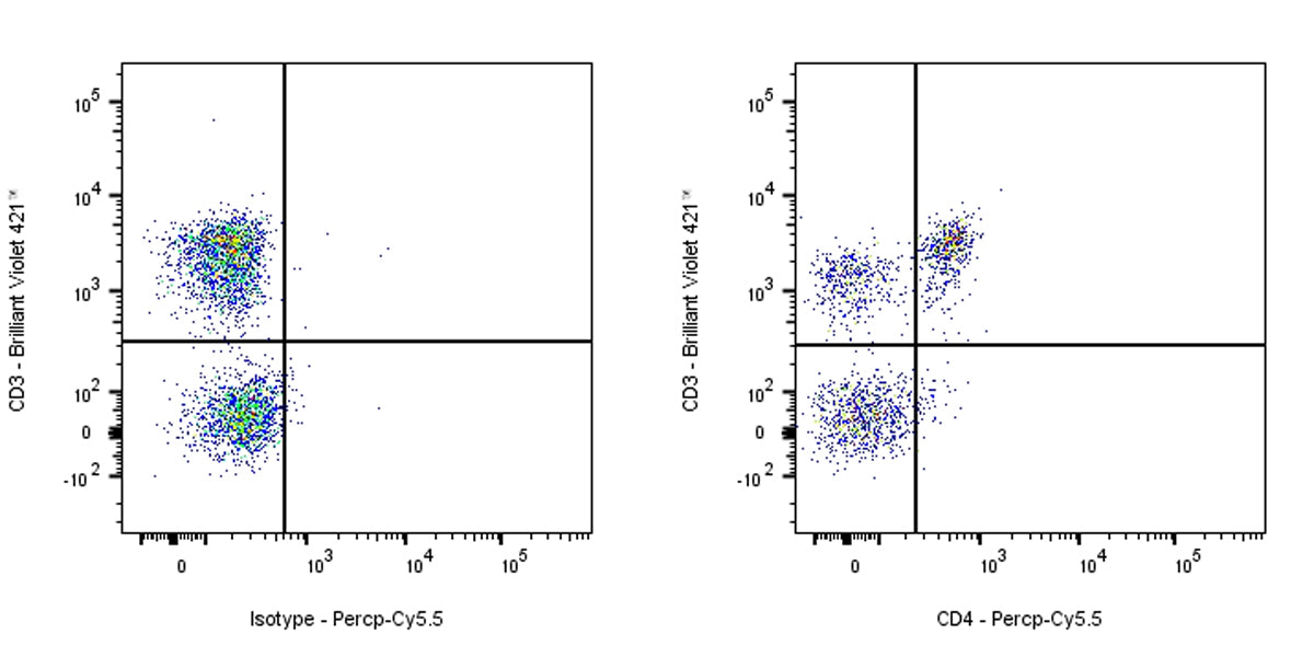 PerCP-Cy5.5 Rat Anti-Mouse CD4 Antibody (GK1.5)