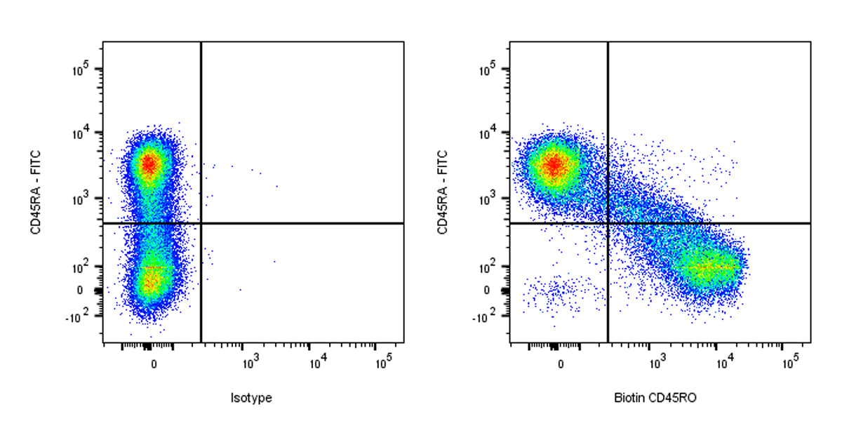 Biotin Mouse Anti-Human CD45RO Antibody (UCHL1)