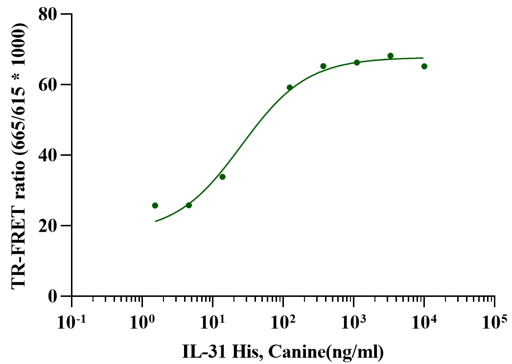 IL-31 Protein, Canine