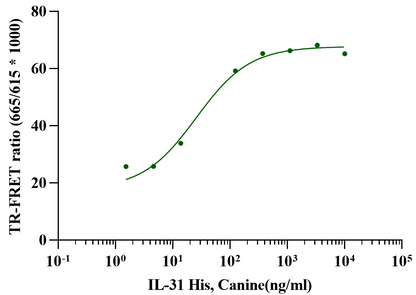 IL-31 Protein, Canine