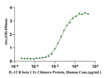 IL-12 R beta 1 Fc Chimera Protein, Human