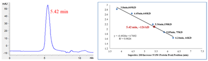 CDK2/Cyclin A2 Protein