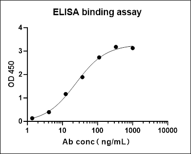 M13 phage Recombinant Rabbit mAb (S-1403-13)