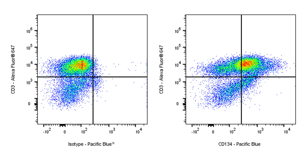 Pacific Blue Mouse Anti-Human CD134 Antibody (ACT35)