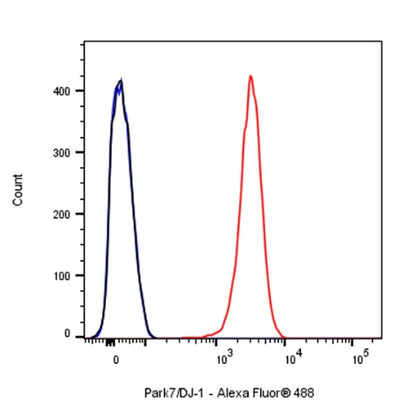 Park7/DJ-1 Recombinant Rabbit mAb (S-980-144)