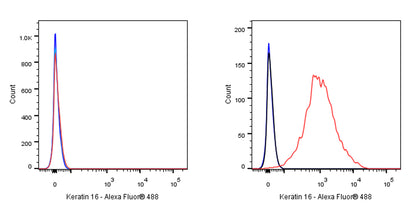 Keratin 16 Recombinant Rabbit mAb (S-R306)