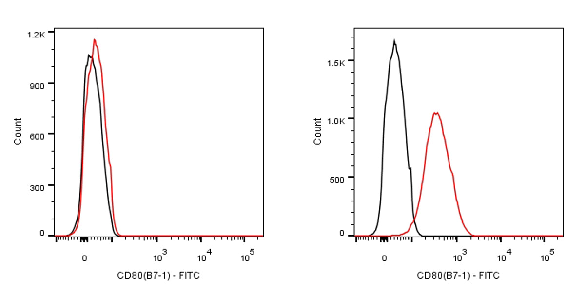 FITC Rabbit Anti-Human CD80 Antibody (S-288-177)