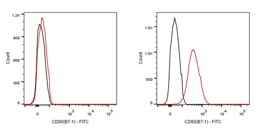 FITC Rabbit Anti-Human CD80 Antibody (S-288-177)