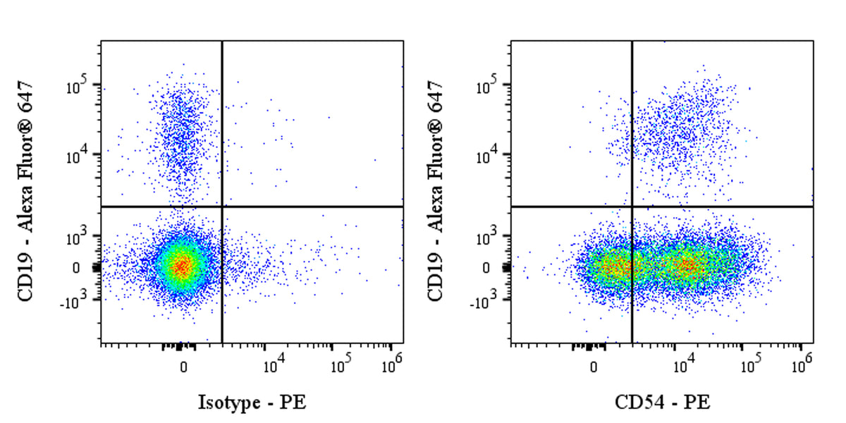 PE Mouse Anti-Human CD54 Antibody (S-3807)