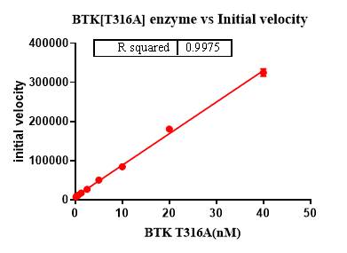 BTK[T316A] Protein