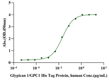 FGF-basic(146aa) Protein, Human