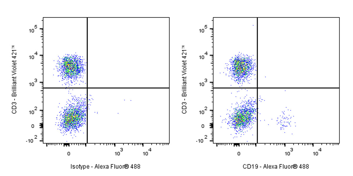 Mouse Anti-Human CD19 Antibody (HIB19)