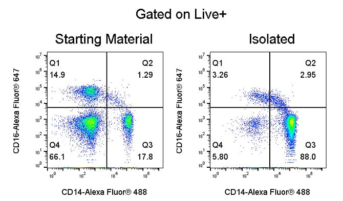 Human Pan Monocyte Cell Isolation Kit (Column-Based)