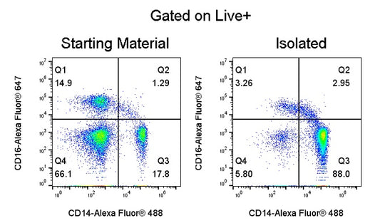 Human Pan Monocyte Cell Isolation Kit (Column-Based)