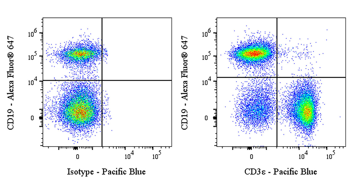 Pacific Blue Rat Anti-Mouse CD3ε Antibody (KT3)