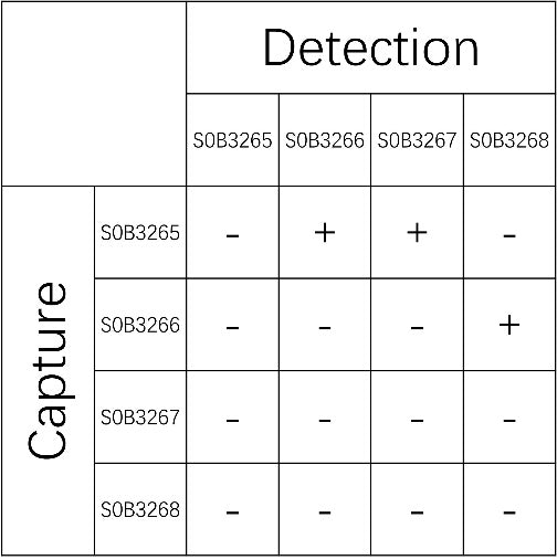 Lambda Light Chain Recombinant Rabbit mAb (SDT-326-124-2)