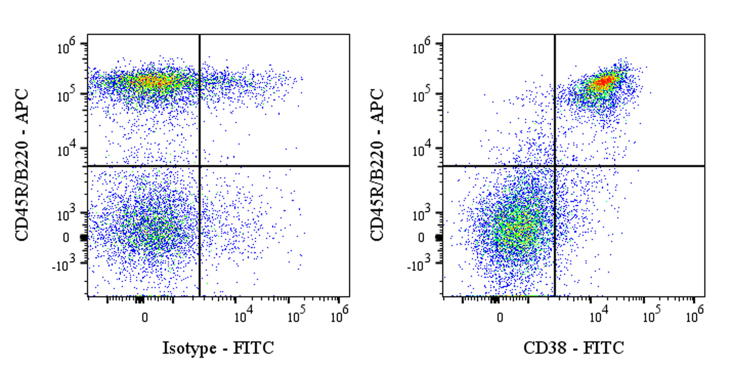 FITC Rat Anti-Mouse CD38 Antibody (S-3262)