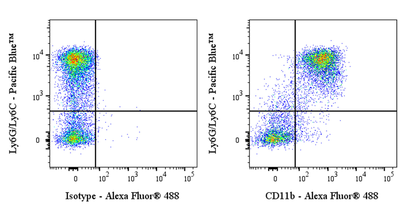 Invivo anti-Human/Mouse CD11B Recombinant mAb