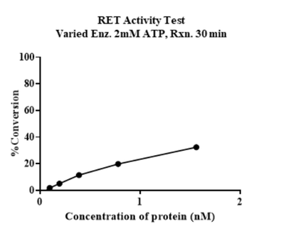 RET (G810R) His&GST Tag Protein, Human