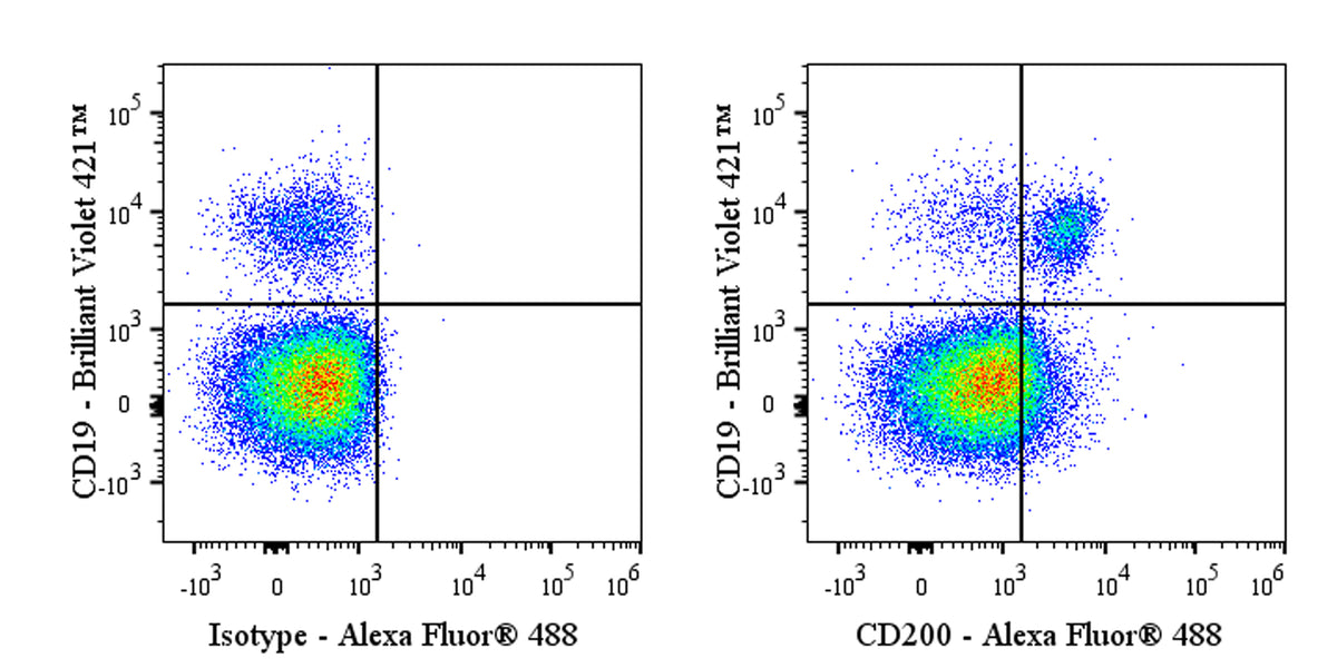 Alexa Fluor® 488 Rabbit Anti-Human CD200 Recombinant Rabbit mAb (S-1008-60)