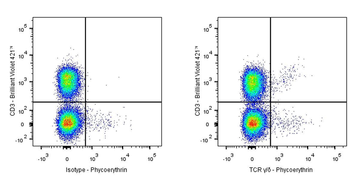 Armenian hamster Anti-Mouse TCR γ/δ Antibody (S-2752)