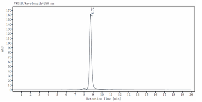 IL-12/IL-23 p40 Monomer Protein, Human
