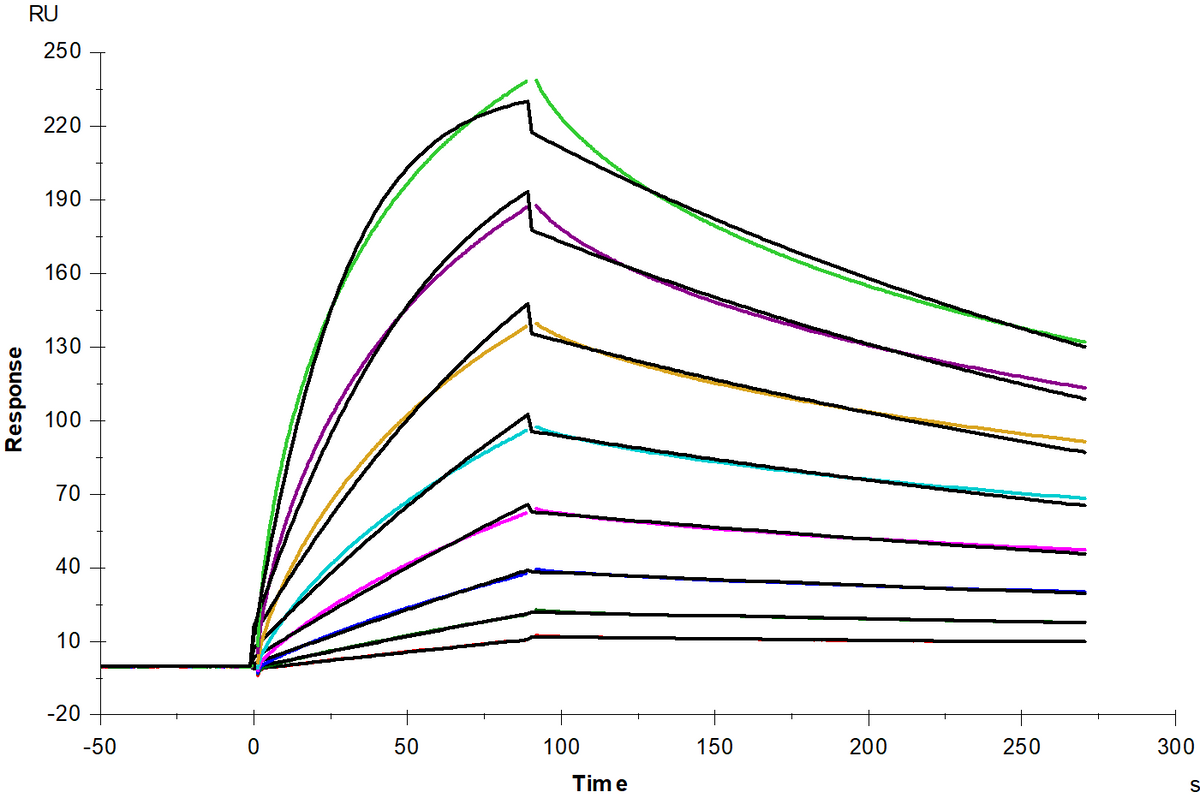 ACVR2A mFc Chimera Protein, Mouse