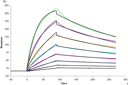 ACVR2A mFc Chimera Protein, Mouse