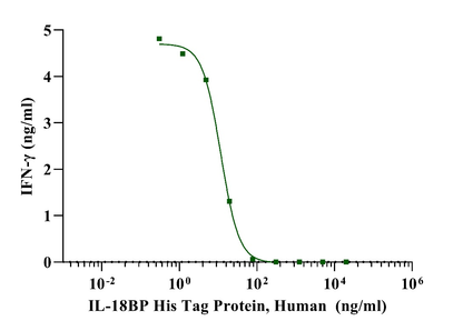 IL-18BP His Tag Protein, Human