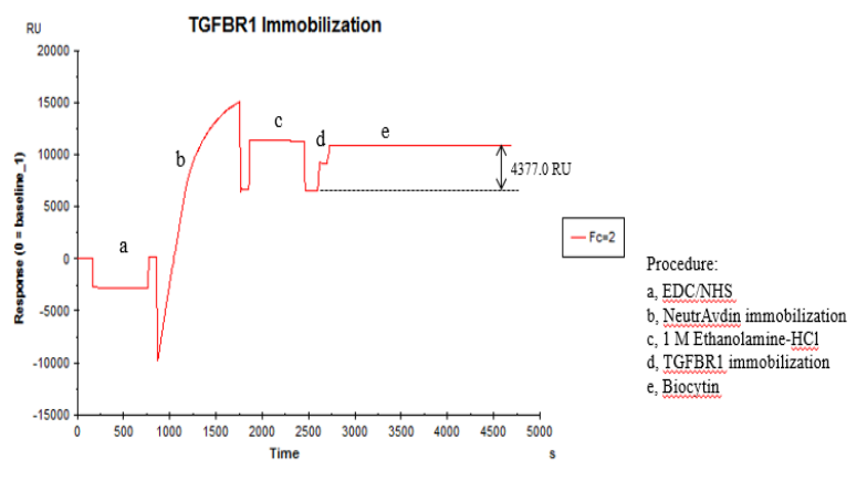 Biotinylated TGFBR1 His&Flag Tag Protein, Human