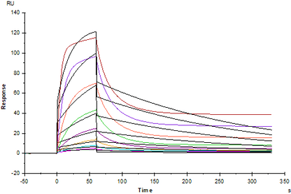 IL-6 Protein, Human