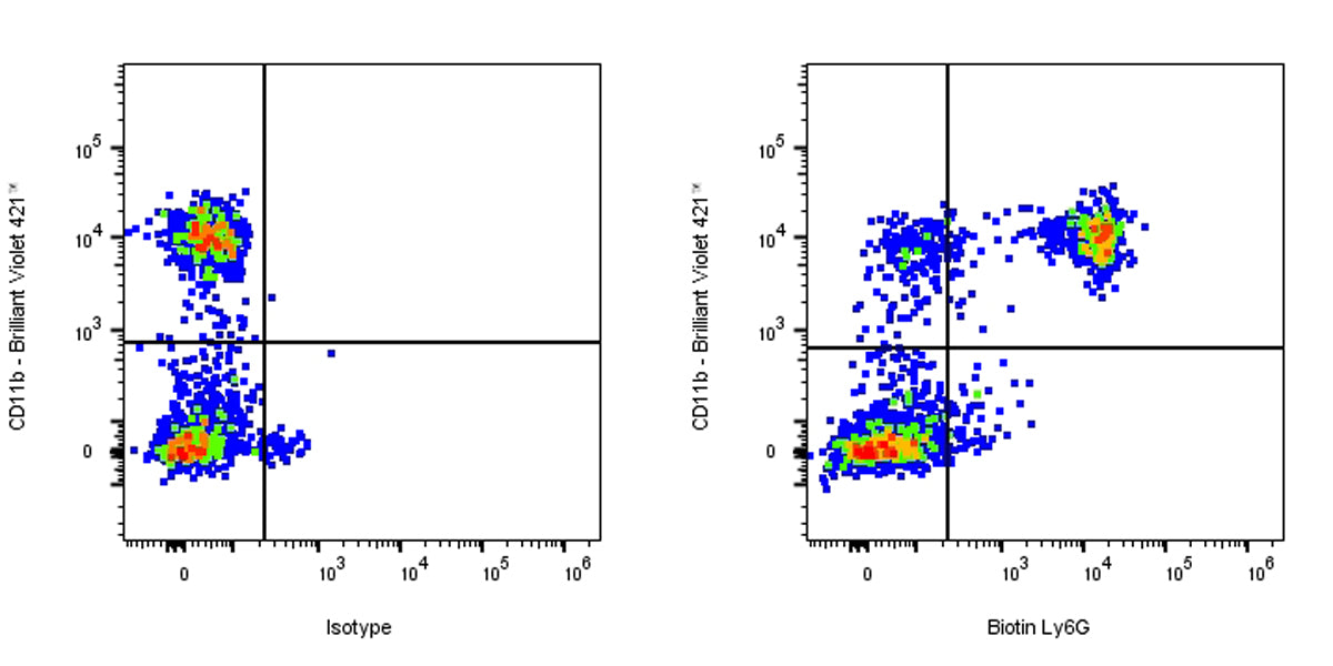 Biotin Rat Anti-Mouse Ly6G Antibody (1A8)
