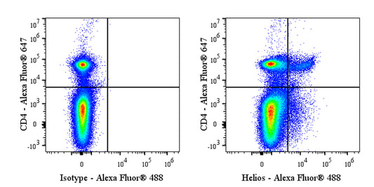 Alexa Fluor® 488 Armenian Hamster Anti-Mouse/Human Helios Antibody (22F6)