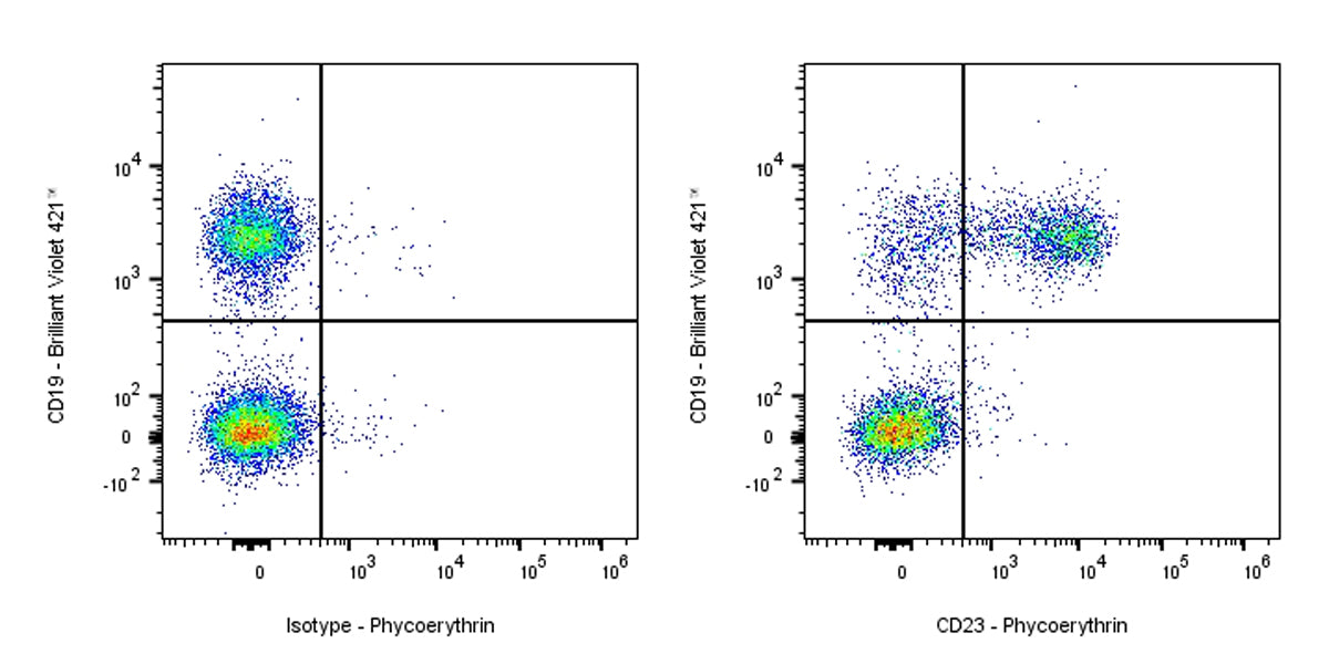 PE Rat Anti-Mouse CD23 Antibody (S-R672)