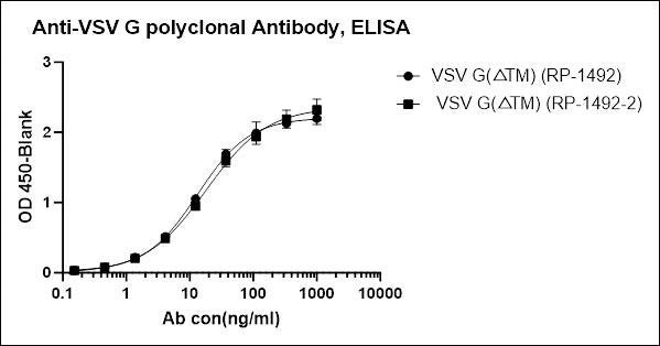 VSV G Rabbit Polyclonal Antibody