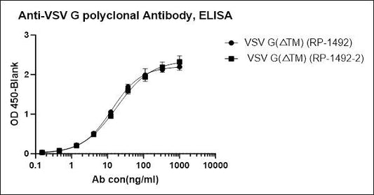 VSV G Rabbit Polyclonal Antibody
