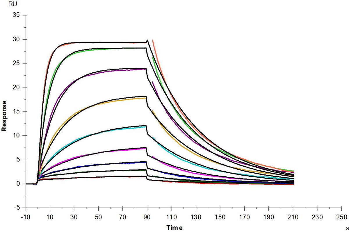 Biotinylated IL-13 His&Avi Tag Protein, Human