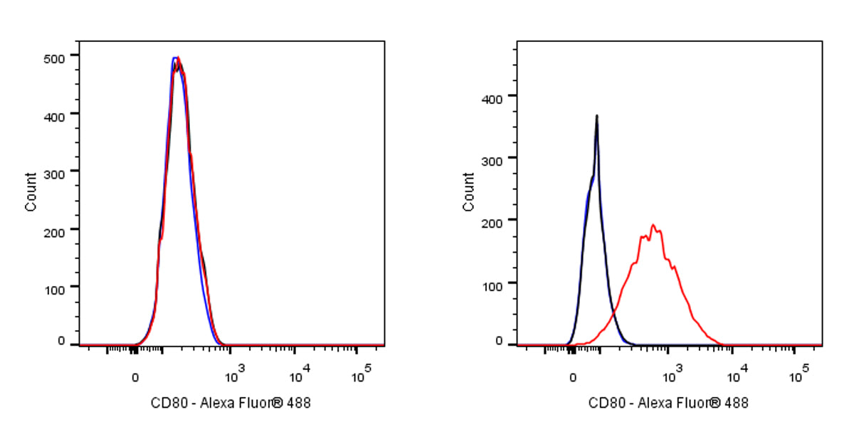 Mouse Anti-Human CD80 Antibody (S-3119)