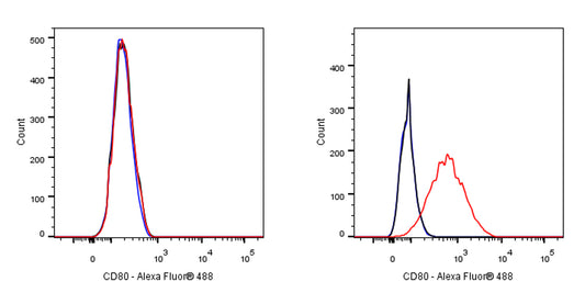 Mouse Anti-Human CD80 Antibody (S-3119)