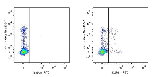 FITC Armenian hamster Anti-Mouse/Human KLRG1 Antibody (2F1)