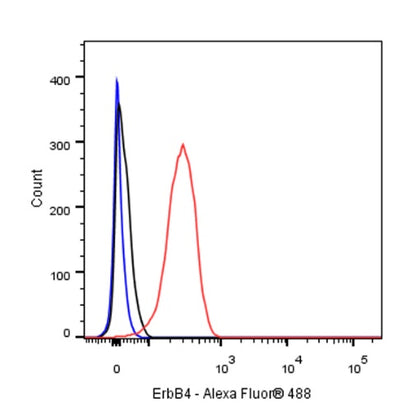 ErbB4 Recombinant Rabbit mAb (S-496-61)