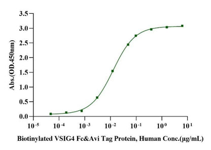 Biotinylated VSIG4 Fc&Avi Tag Protein, Human