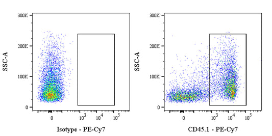 PE-Cy7 Mouse Anti-Mouse CD45.1 Antibody (A20)