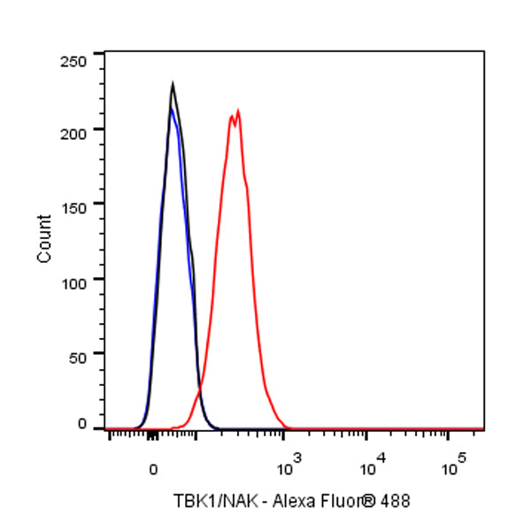 TBK1/NAK Recombinant Rabbit mAb (S-658-50)