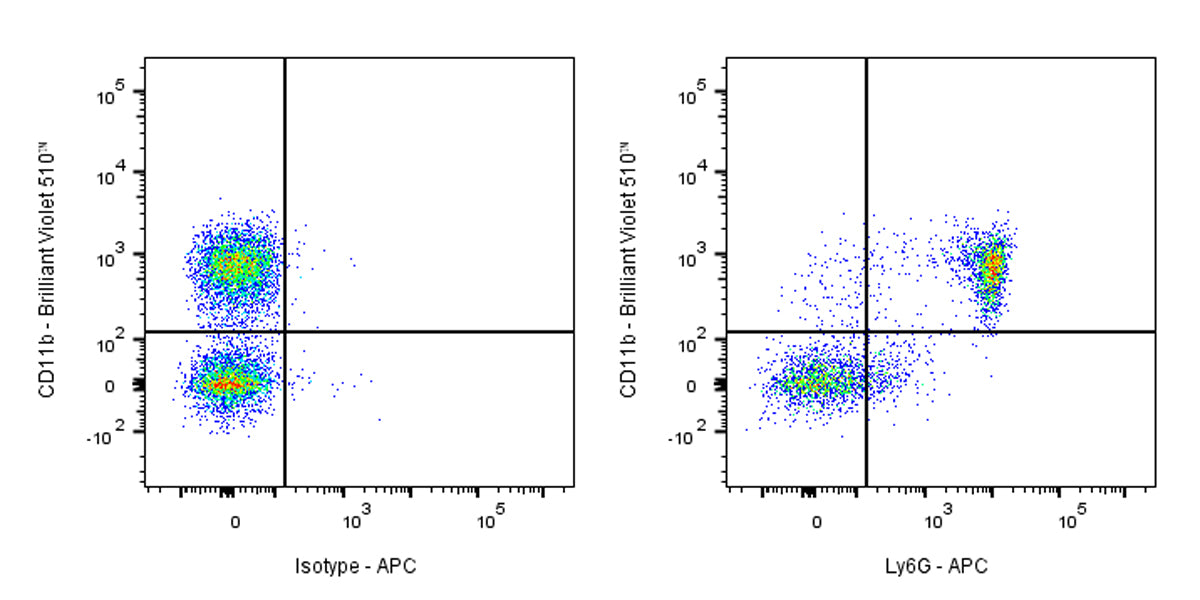 APC Rat Anti-Mouse Ly6G Antibody (1A8)